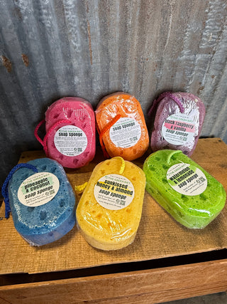 Soap Sponges