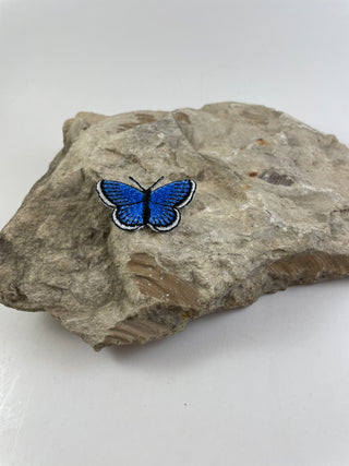 Girls Just Wanna Have Fun Patch Theme-Hats-Little Blue Butterfly-It&#x27;s Personal Boutique LLC