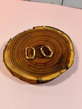 Earrings $15-Jewlery-Simple gold hoops-It&#x27;s Personal Boutique LLC